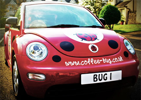 Front View of Coffee Bug